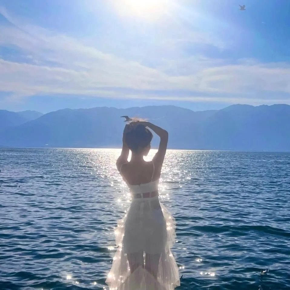 志愿军：浴血和平